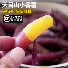【顺丰速运】新鲜临安目山小香薯5/10斤小红薯农家自种紫薯海南地瓜板栗番薯【坏果包赔】 5斤 小果