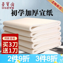 荣宝斋宣纸 文房四宝书画练习宣纸100张/刀 初学者书法毛笔纸国画练习纸半生半熟宣生宣毛边纸宣纸 四尺四开 半生熟/100张【买3刀送1刀】