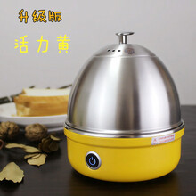 不锈钢煮蛋器 小型早餐机蛋羹多功能自动断电家用迷你蒸蛋器小秋家 活力黄 升级版
