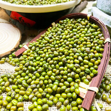 朝阳神鹰（CHAOYANGSHENYING） 杂粮绿豆 塑封装 东北特产五谷杂粮绿豆地方特产450g