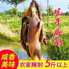 农家腌制溧阳周城咸鹅腊鹅风干老鹅整只天目湖寿县茅山固始5.5斤 5.5斤以上老鹅
