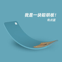 聪明板 平衡板感统训练跷跷板儿童室内弯曲板 有点蓝