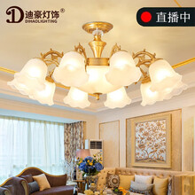 迪豪灯饰 全铜欧式客厅灯美式田园吊灯简约大气卧室灯餐厅吸吊两用灯具别墅大厅灯饰套餐 全铜9034-10头（灯头向下+12w三色LED）