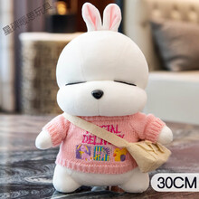 #RemHtml($!{product.content.wareName})