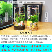 观赏生态瓶鱼微景观免换水免打理diy水族办公桌面创意造景鱼缸 圆柱特大号（黄金砂款）
