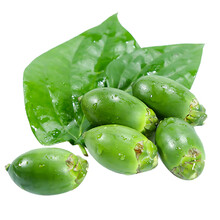 海南陵水新鲜青槟榔生槟榔果带配料口味提神戒烟加工水果 单独槟榔不