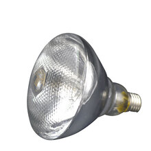 岩梦 加厚畜牧保温灯泡 防水防爆红外线仔猪灯泡 养殖取暖灯泡兽用灯泡 白色麻面200w