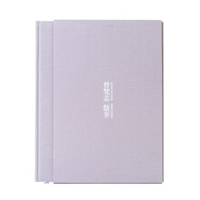 曾梵志:散步 (精装)艺术画册 UCCA出品