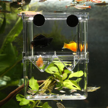鱼缸孵化盒亚克力双重孵化器小鱼隔离盒 悬浮式保护盒产卵盒水族用品防护器 孵化盒【大】 水宠产卵产子保护盒