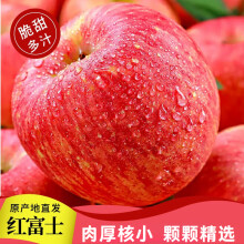 贾迷糊陕西时令苹果水果红富士苹果礼盒装水果生鲜新鲜脆甜多汁 8.5斤75mm富士甄选中果