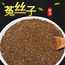 雄在菟丝子500g中药材泡水 内蒙古正宗菟丝子茶男性泡水泡酒药材搭配枸杞淫羊藿 菟丝子500克（1斤）籽大质量好