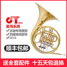 金音JYFH-E120G降B调四键单排漆金圆号管乐器乐队演奏乐器成人学生专业舞台演奏乐器