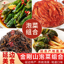 金刚山辣白菜苹果梨口味韩国风味泡菜下饭菜开袋即食 辣白菜+小黄瓜+拌香葱+茄子辣椒