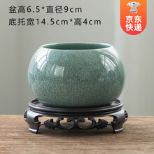 #RemHtml($!{product.content.wareName})