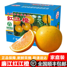 正宗廉江红橙新鲜当季水果现摘现发红江橙薄皮特产橙子送礼 70mm（含）-75mm(含)（级品果） 10斤