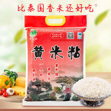 食芳溢黄米粘大米10kg黄毛粘长粒山泉猫牙香米新米油粘米10斤 孝感古老稻米黄米粘5kg真空装