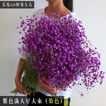 伊顺满天星干花花束大长款鲜花客厅家居装饰艺术摆件礼物云南天然真花SN2396 紫色 满天星大束 干树枝