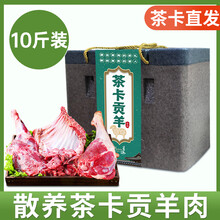 FROMQH青海乌兰茶卡贡羊肉羊肋排新鲜现宰现发藏羊肉生鲜茶卡羊排骨 【6斤】茶卡羊肋排(礼盒装) 羊肋排