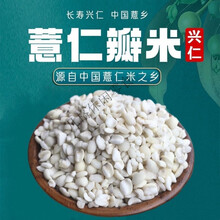 品质新货福建宁化糯薏米碎薏米仁农家小薏仁米仁薏苡仁新鲜 1005克(两斤装) 精选新货糯薏米碎薏米仁
