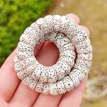 #RemHtml($!{product.content.wareName})