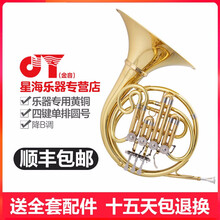 金音JYFH-F120 降B调 四键单排漆金圆号成人学生舞台演奏乐器专业乐队演奏乐器