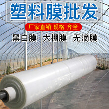 农用黑白膜批发