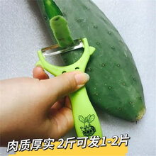 旺之春可食用米邦塔仙人掌盆栽新鲜药用外敷内服美容墨西哥米邦塔植物 【2斤3年厚片】可吃可种 不含盆
