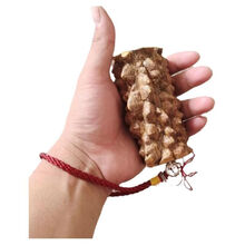 #RemHtml($!{product.content.wareName})