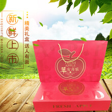 洛宁特产上戈红富士苹果糖心新鲜脆甜孕妇水果应当季丑萍果整箱 大果 10斤