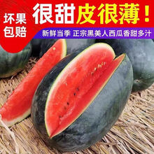 黑美人西瓜新鲜水果爆甜多汁4-9斤 5-6斤1个
