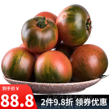 迭果青岛杠六九西红柿5斤夏庄铁皮柿子农家番茄自然熟