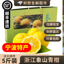 【顺丰速运】正宗象山青柑橘春香柚黄金贡柚当季宁波新鲜水果礼盒 【中小果】5斤礼箱（15个左右）