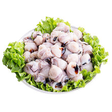 大菜園 鱿鱼牙 鱿鱼嘴 墨鱼嘴 速冻鱿鱼嘴 鱿鱼头 鱿鱼须 烧烤食材 10斤