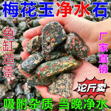 梅花石‥景石 荒川梅花石 - メルカリ