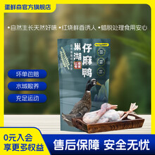 蛋鲜森正宗巢湖老麻鸭仔麻鸭1kg±100g/只散养土鸭子净膛发货 仔麻鸭1只装【贵在运费】