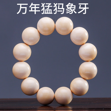 猛犸牙手串价格图片精选- 京东