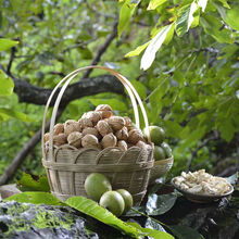 #RemHtml($!{product.content.wareName})