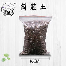 【新品促销】兰花苗 嫦娥奔月 建兰四季兰绿植花卉好养盆栽 简装土1包