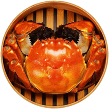 【活蟹】六月黄大闸蟹新鲜活螃蟹生鲜蟹类礼盒装苏州大闸蟹全母可选 全母(1.5-1.8两 )10只