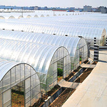 清水上苑 625/825型大棚骨架蔬菜大棚温室钢架大棚热镀锌钢管养殖多肉大棚 6*20米标配含膜