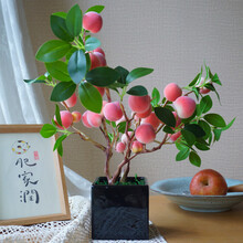 #RemHtml($!{product.content.wareName})