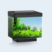 JUWEL德国黑钻静音鱼缸迷你小型桌面Vio40cm高清玻璃水草缸热带鱼缸弧面弯缸懒人免换水带净水器 黑色 套餐一