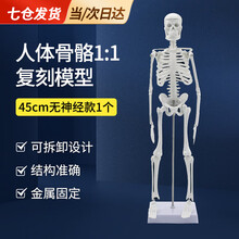 #RemHtml($!{product.content.wareName})