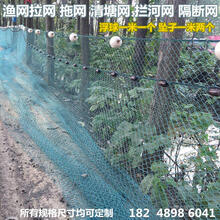 萌肉居 渔网拉网清塘小型捕鱼网抬网网箱拦河网围网刮网定做 2米高30米长12股2指