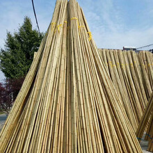 古之南 竹竿 防腐装修竹竿竹子吊顶室内装饰装潢材料 户外粗细干竹杆菜园搭架 直径3厘米*4米长【30根】
