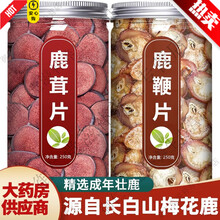 鹿の角スライス（鹿茸片）と鞭スライス（鹿鞭片） 鹿の角スライス（鹿茸片）と鞭スライス（鹿鞭片） 【公式通販】