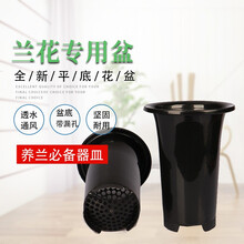 兰科兰花盆塑料大中小号透气黑色带孔国兰君子兰墨兰花专用盆型号齐全 经典平底大号花盆
