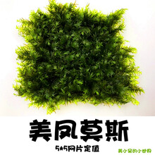 鱼缸沉木造景莫斯美凤水晶鹿角苔火焰珊瑚垂泪松茸怪厥大三角水草 美凤莫斯5*5一片