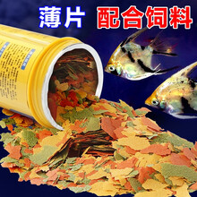 海豚热带鱼饲料观赏小型鱼粮灯科鱼金鱼饲料亮色七彩孔雀鱼虎皮鱼鱼食 薄片饲料40克