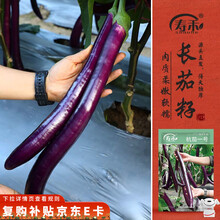 茄种子】价格_茄种子图片- 京东